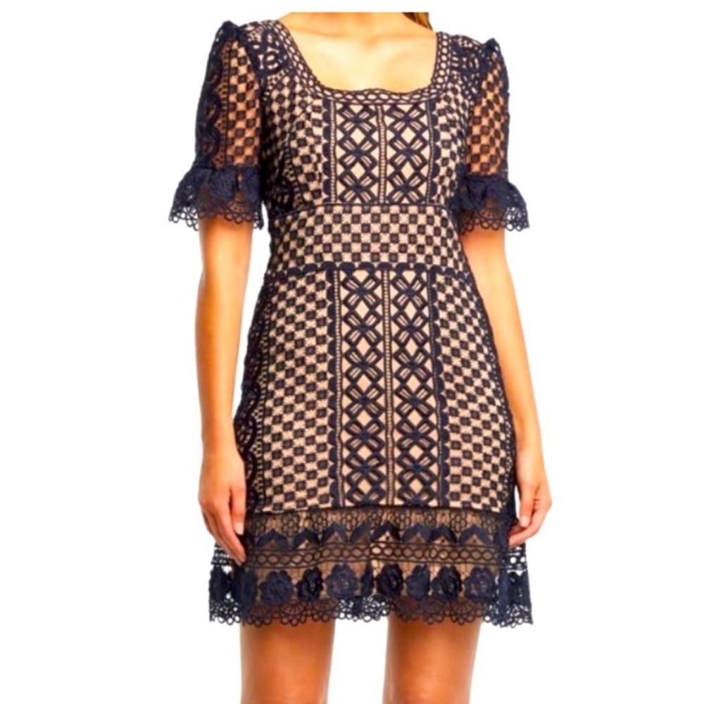 Bardot Navy & Cream Daisy Lace A-Line Dress Size 4